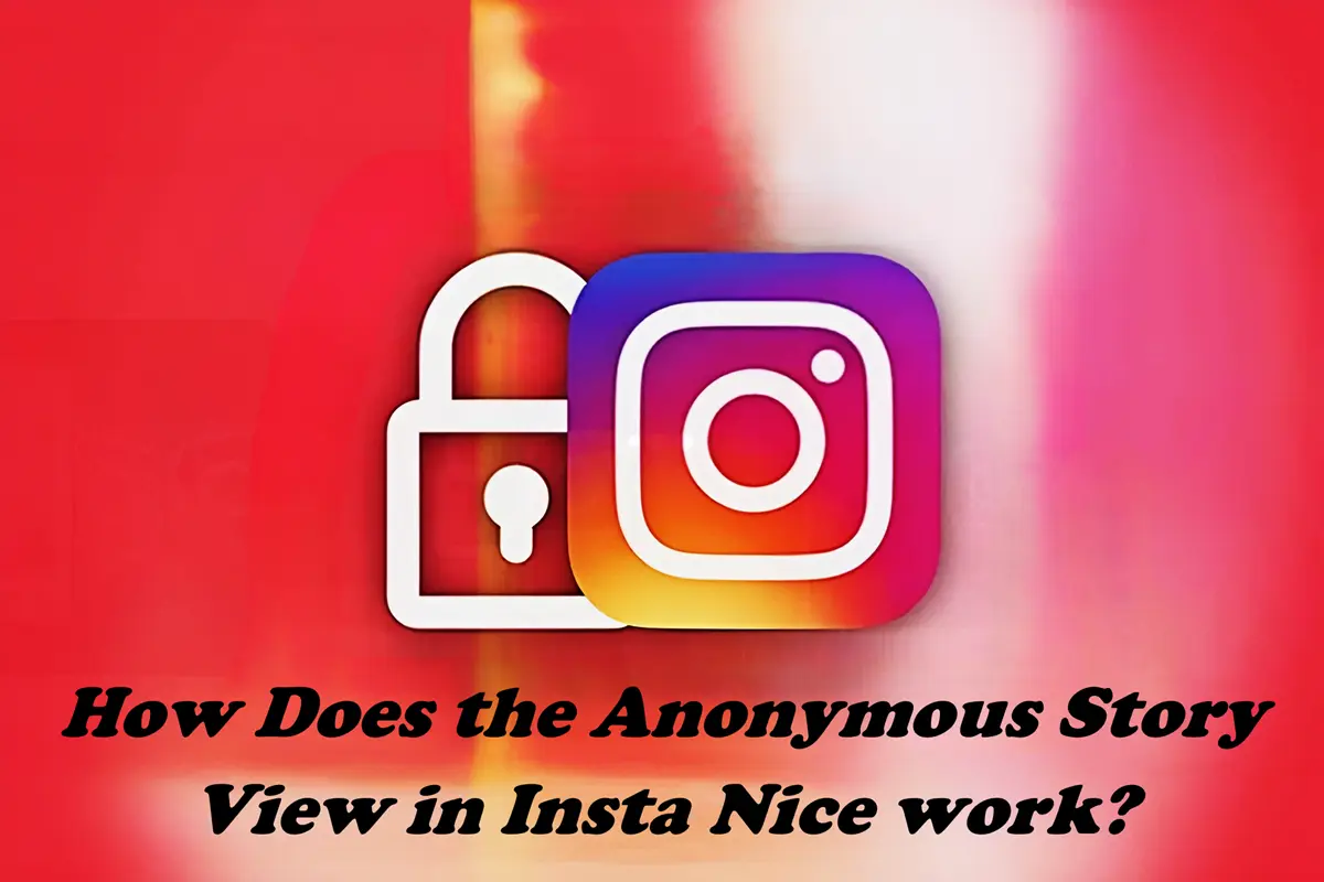How Does the Anonymous Story View in Insta Nice work?