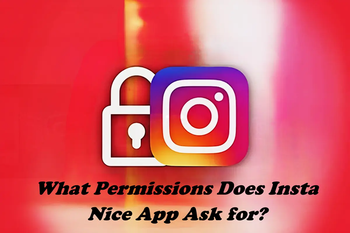 What Permissions Does Insta Nice App Ask for?